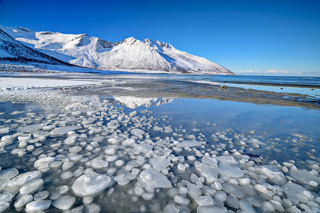 Eisschollen am Strand von Ballesvika, Senja, Troms og Finnmark, Norwegen