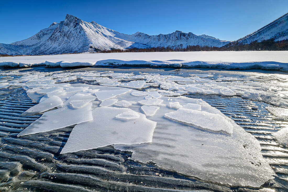 Eisschollen am Strand von Ballesvika, Senja, Troms og Finnmark, Norwegen