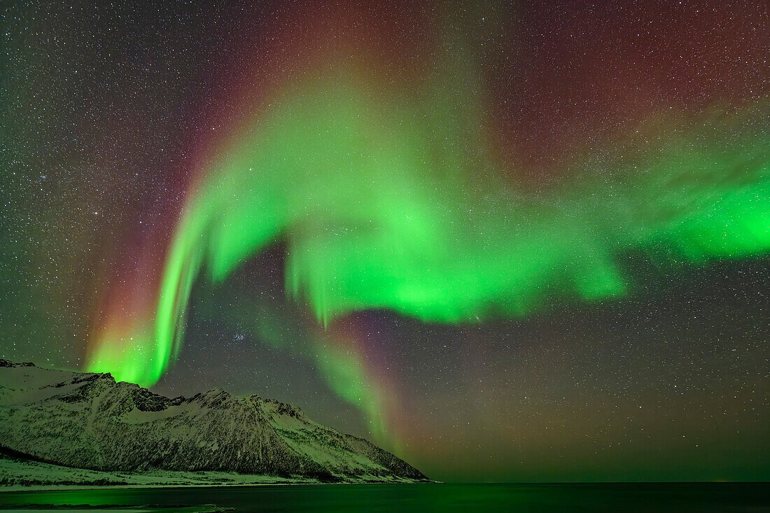 Polarlicht über dem Strand von Ballesvika, Senja, Troms og Finnmark, Norwegen