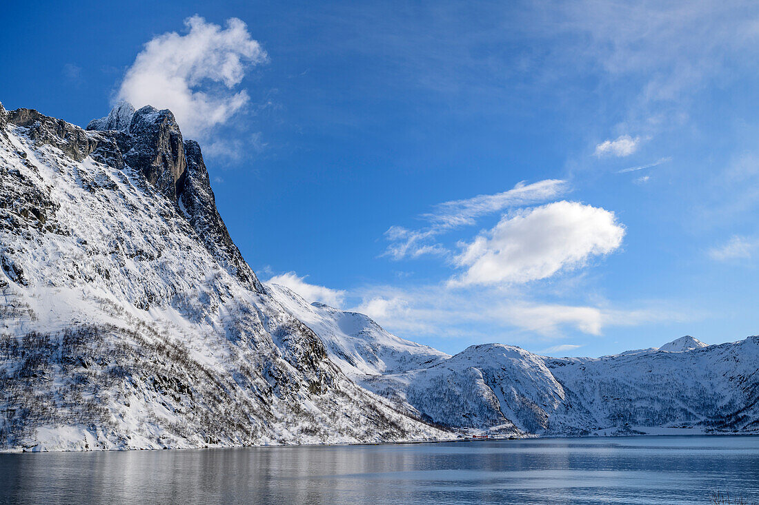Blick in den verschneiten Ornfjord, Ornfjord, Senja, Troms og Finnmark, Norwegen