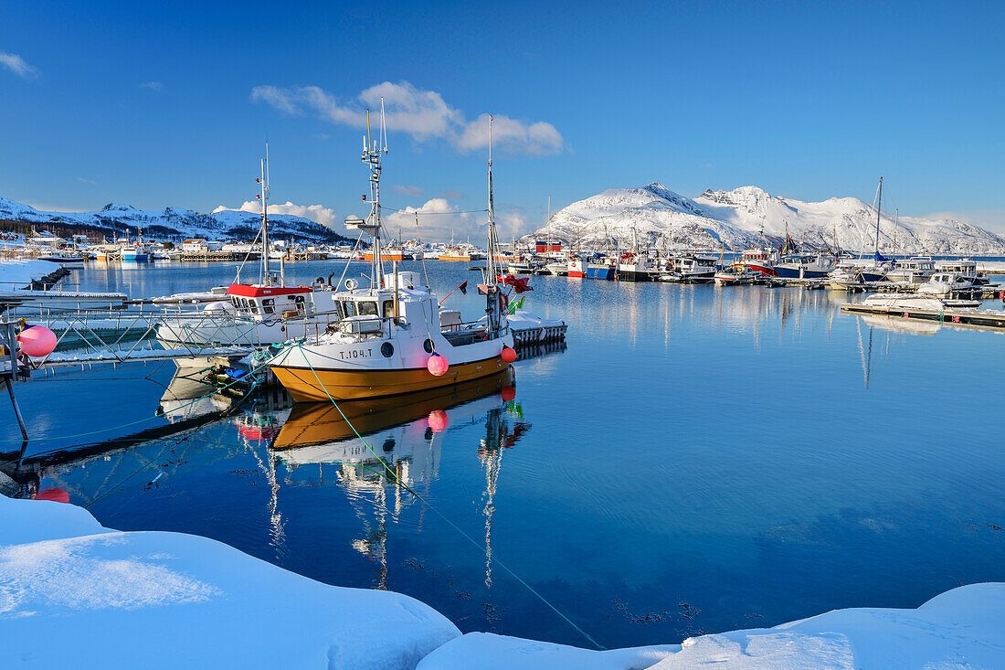 Schiffe im verschneiten Hafen von Tromvik, Kvaloya, Troms og Finnmark, Norwegen