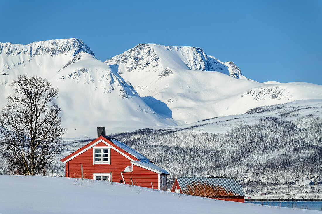 Rote Fischerhäuser mit verschneiten Bergen im Hintergrund, Snarby, Troms og Finnmark, Norwegen