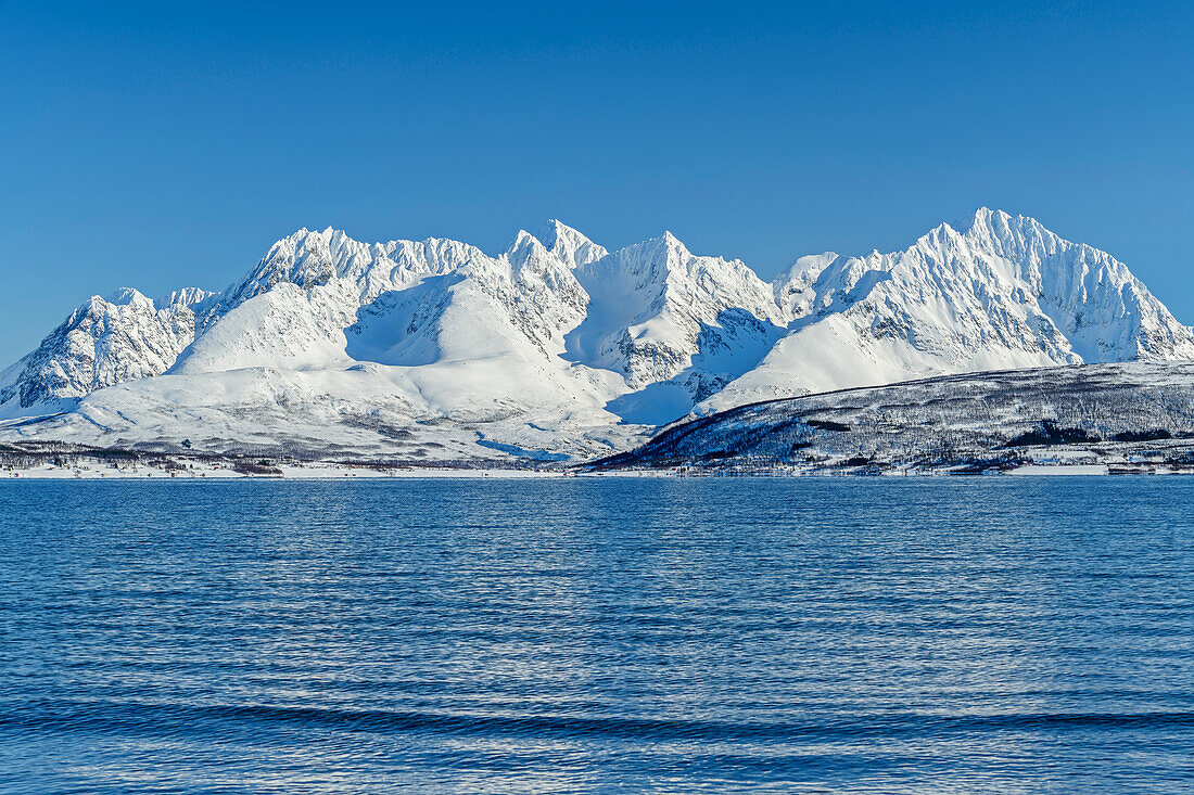 Verschneite Lyngenalpen vom Strand von Oldervik, Oldervik, Troms og Finnmark, Norwegen