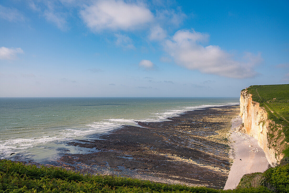 Kreidefelsen und Steilküste entlang des Fernwanderwegs zwischen Étretat und Yport, Normandie, Frankreich