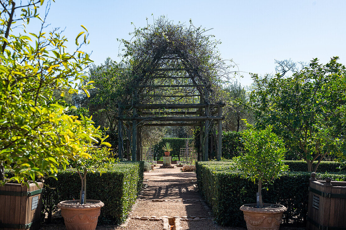 In the garden of Babylonstoren, old farm, wine farm, Franschhoek, Western Cape Province, Stellenbosch, Cape Winelands, South Africa, Africa