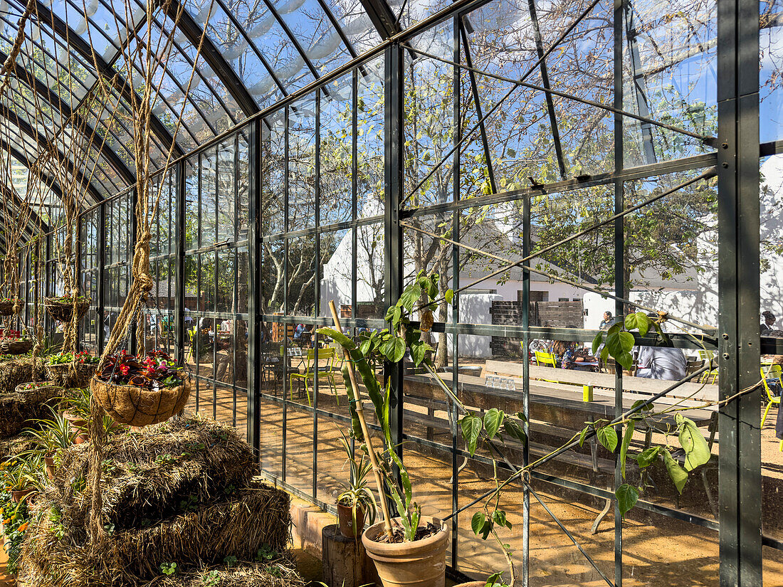 Greenhouse in the garden of Babylonstoren, old farm, wine farm, Franschhoek, Western Cape Province, Stellenbosch, Cape Winelands, South Africa, Africa