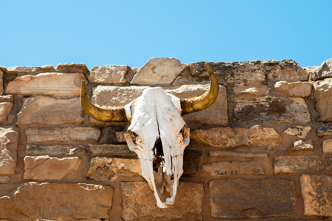 Ein Büffelschädel an der Außenwand des Handelspostens Pima Point in Ganado, Arizona, USA