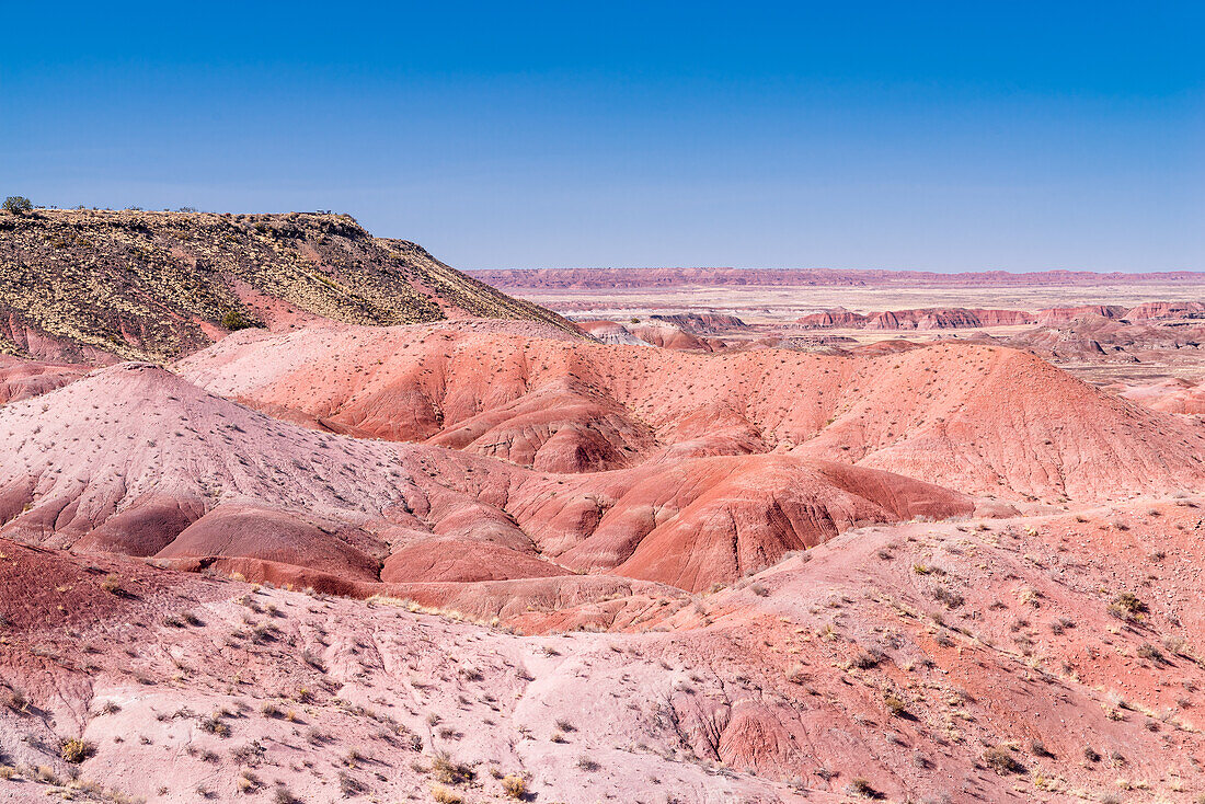 Die Landschaft im Petrified-Forest-Nationalpark in Arizona.