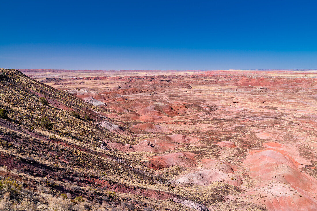 Die Landschaft im Petrified-Forest-Nationalpark in Arizona.