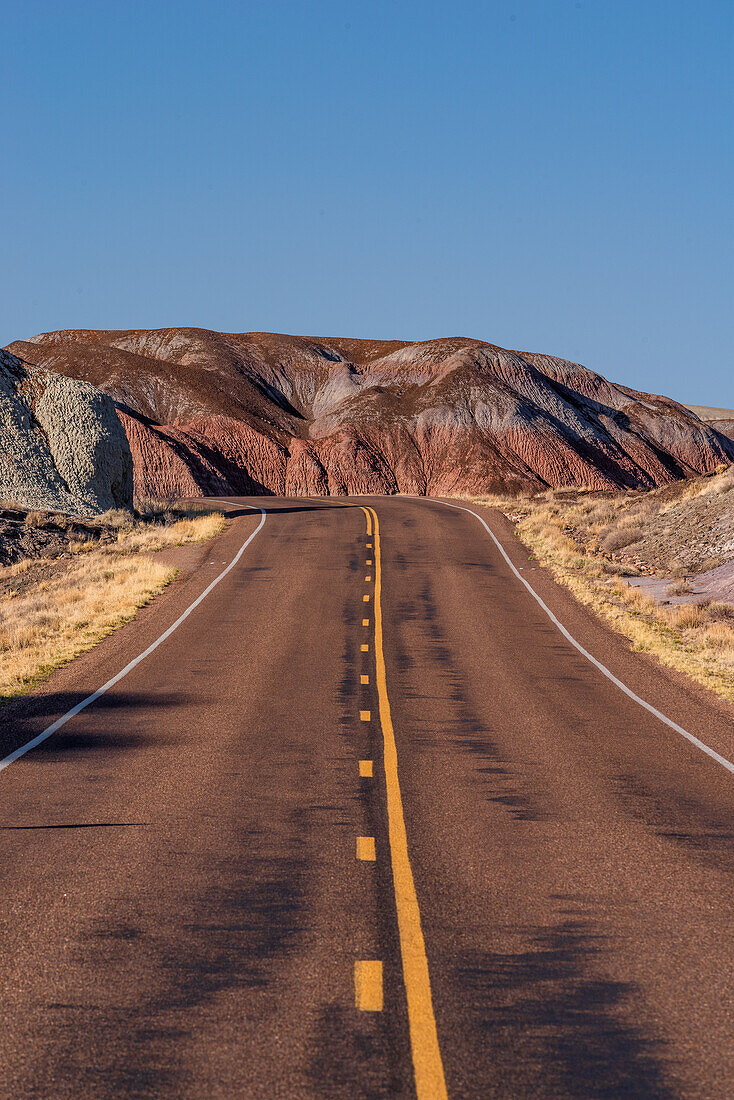 the road leading throught the Petrified Forest National Park in Arizona.