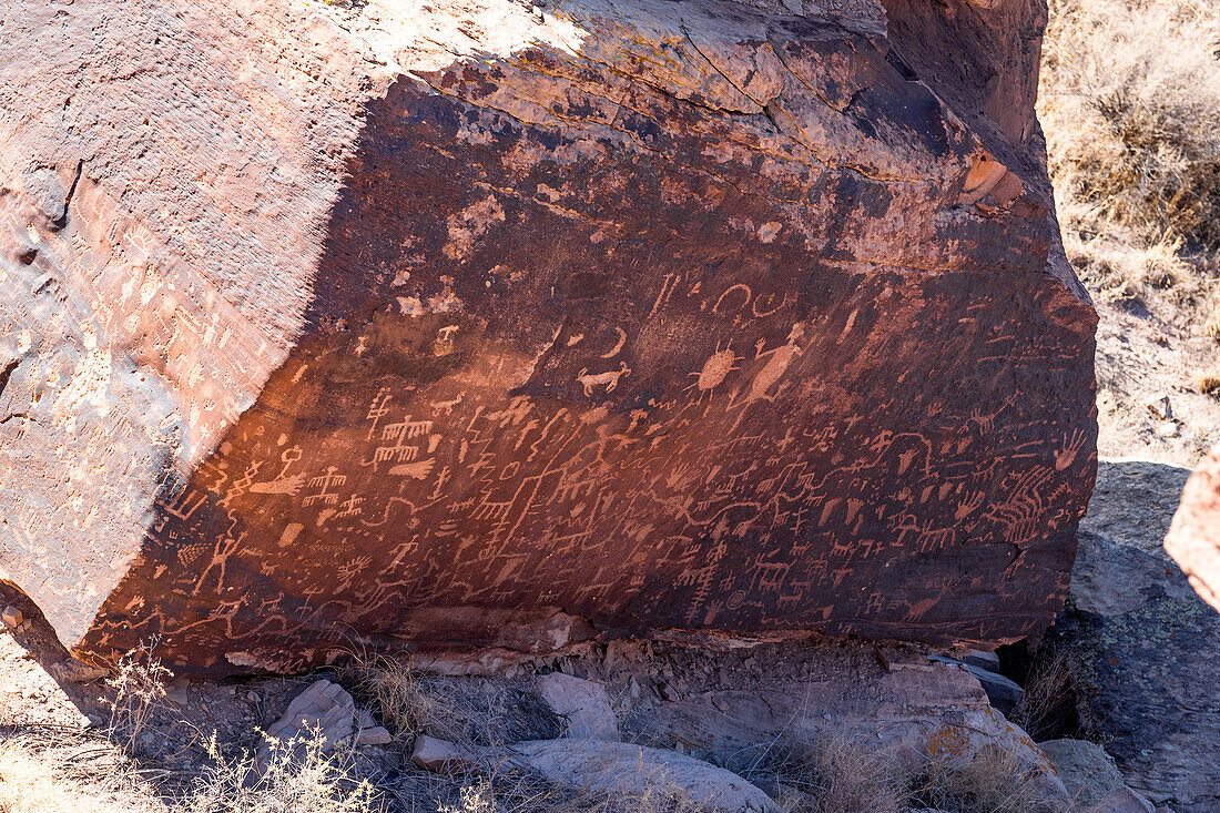 Petroglyphen im Petrified-Forest-Nationalpark in Arizona.