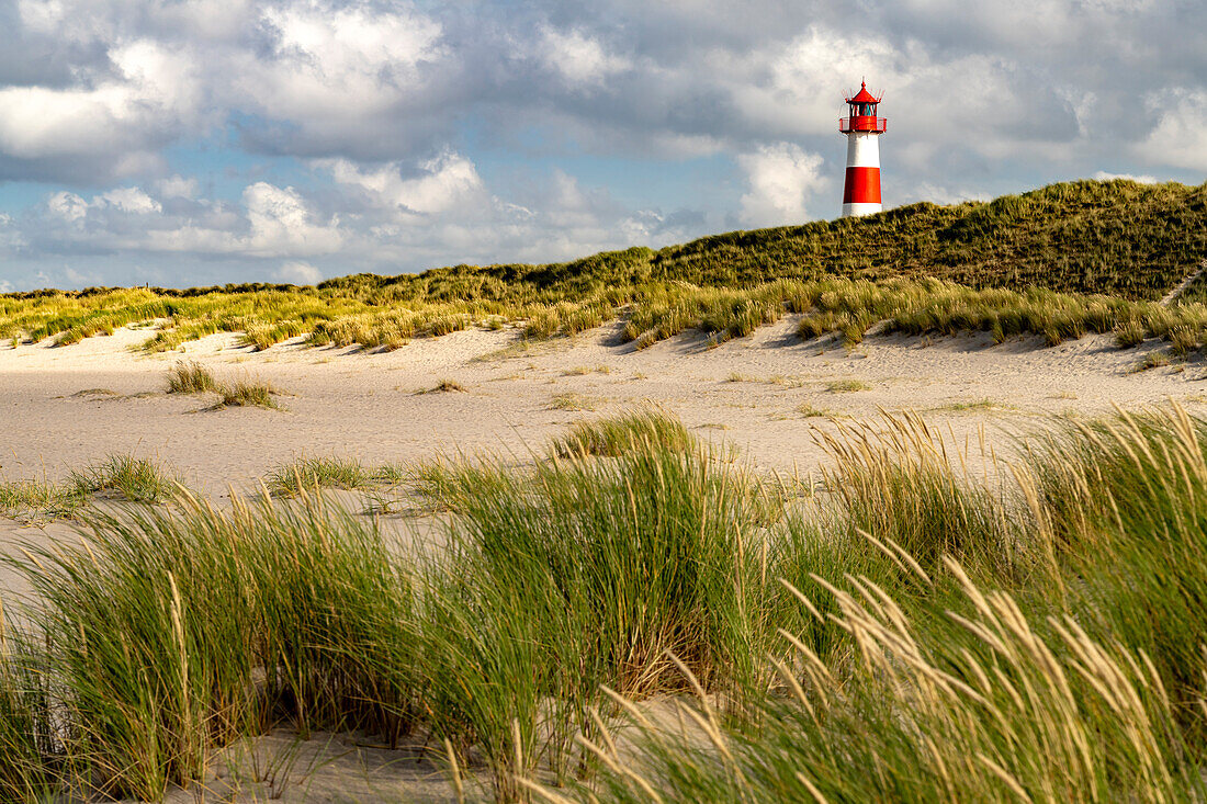 Dunes on the coast of Ellenbogen and the List-Ost lighthouse, List, Sylt Island, Nordfriesland district, Schleswig-Holstein, Germany, Europe