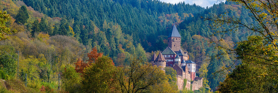 Burg Zwingenberg in herbstlicher Stimmung, Baden-Württemberg, Deutschland