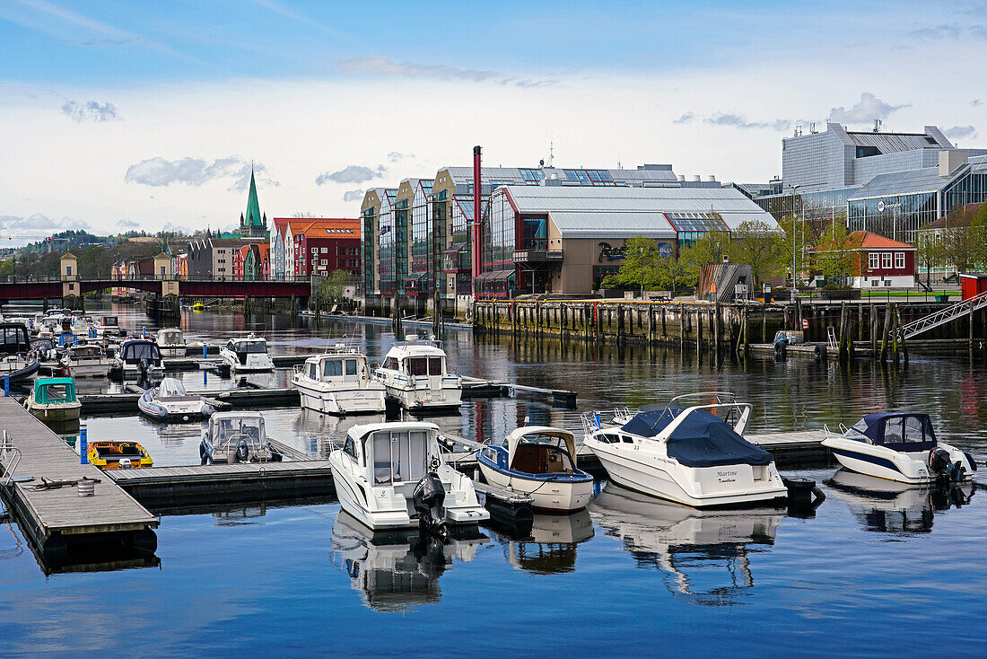 Norwegen, Provinz Trøndelag, Trondheim, Bootshafen am Fluss Nidelva und Stadtblick