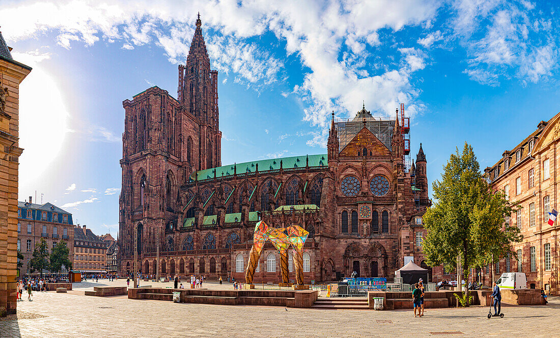 Cathédrale Notre-Dame de Strasbourg of Strasbourg in France