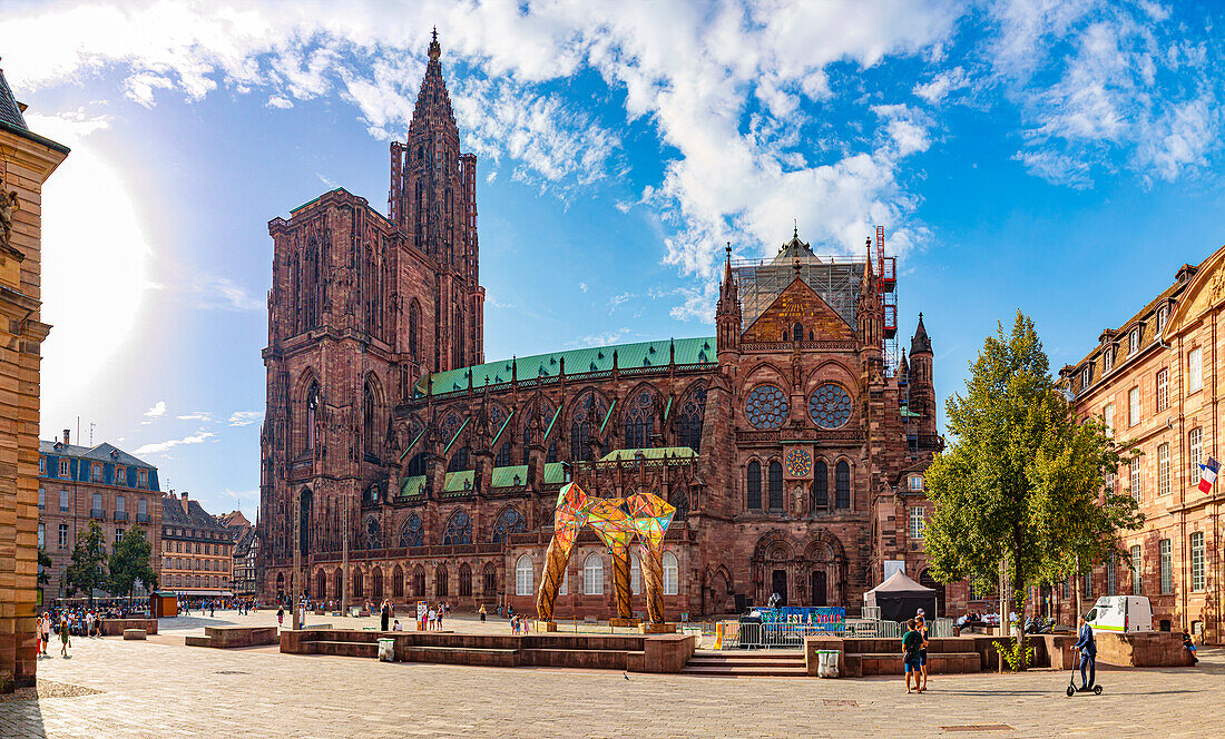 Cathédrale Notre-Dame de Strasbourg von Strassburg in Frankreich