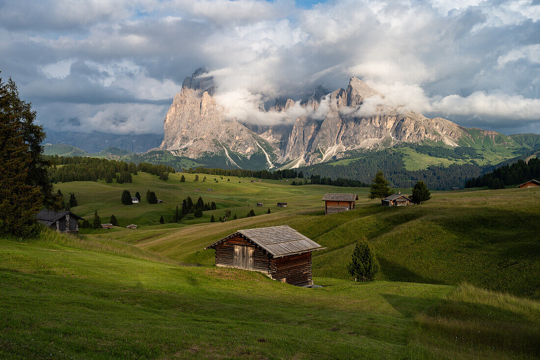 Seiseralm an einem Sommertag, Dolomiten, Südtirol, Italien