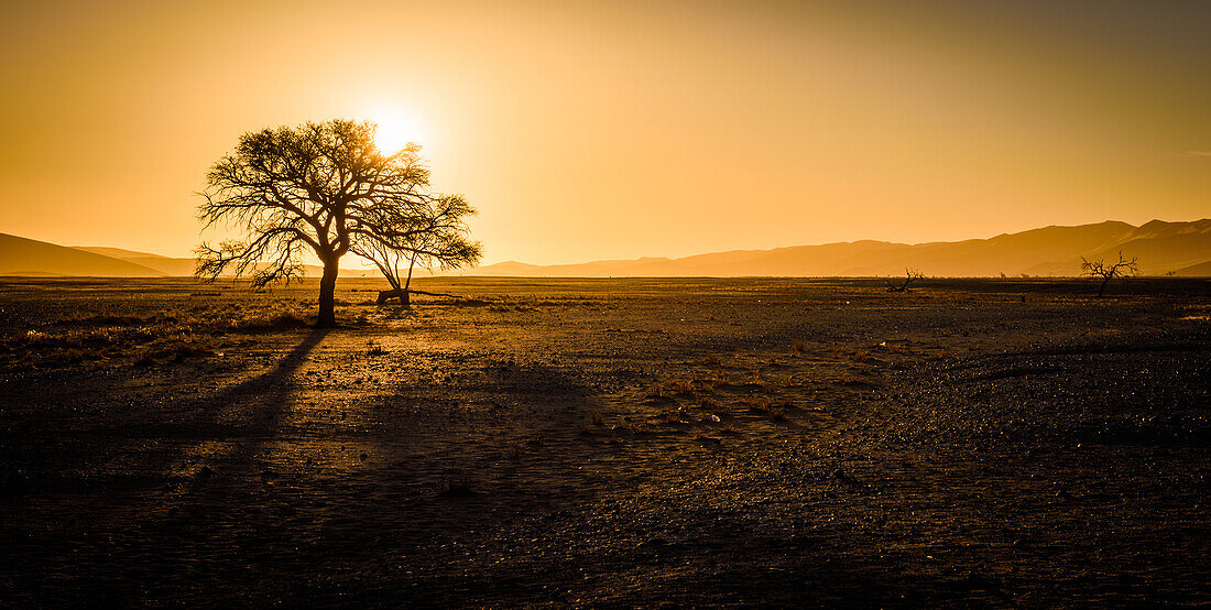 Vastness; Namibia, Namib Naukluft National Park