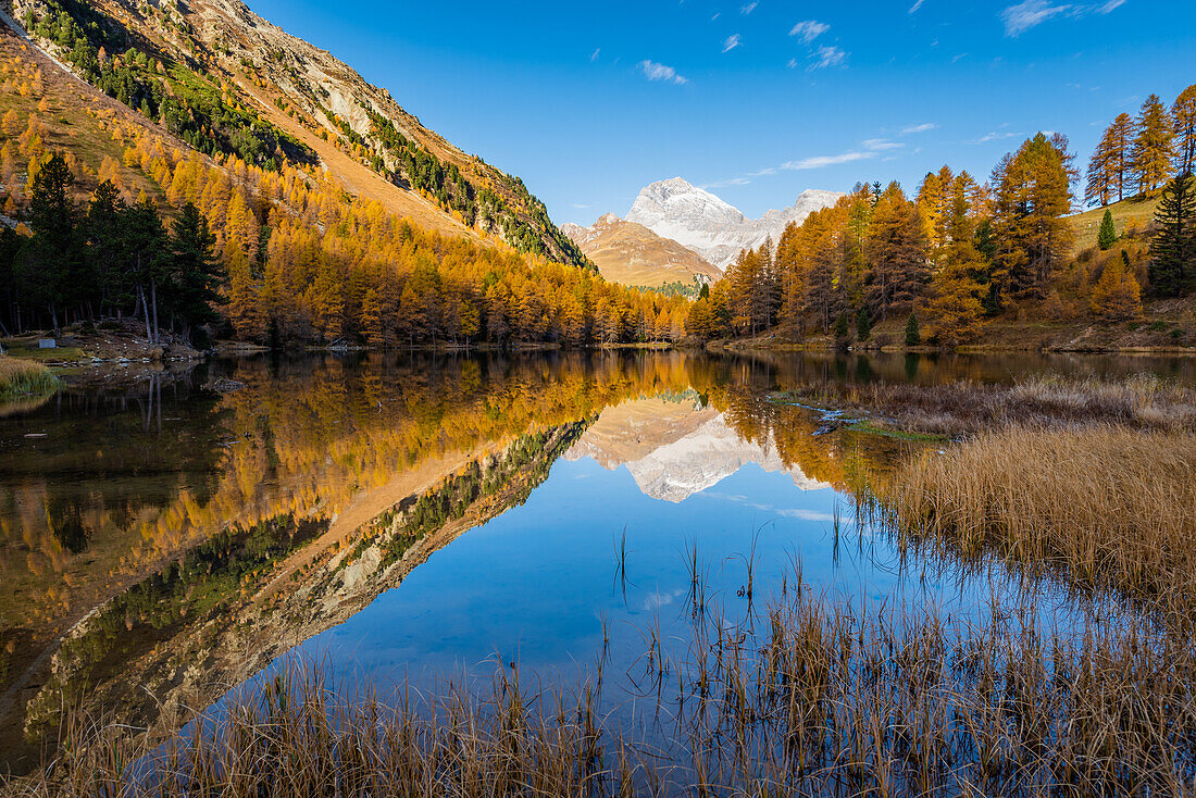 The perfect fall; Switzerland, Canton of Graubünden, Albula area