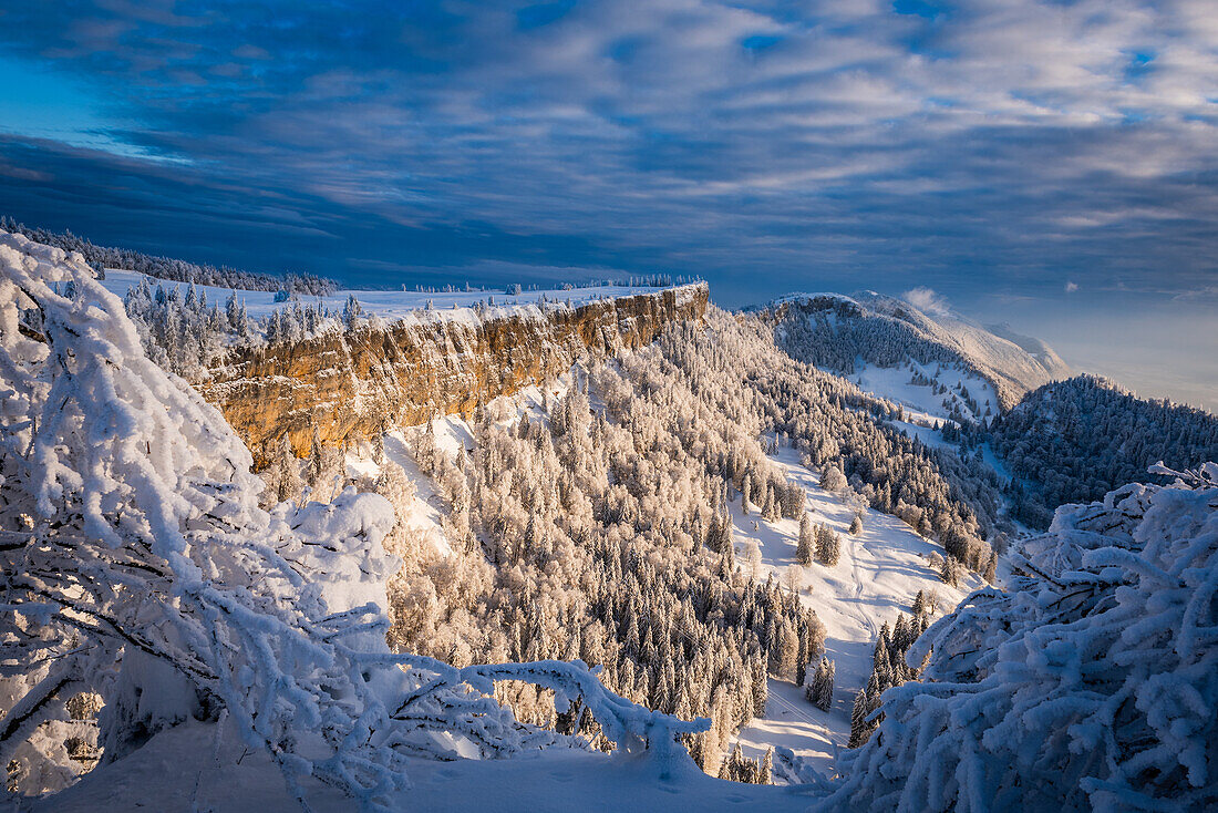 Steilwand im Sonnenlicht; Schweiz, Kanton Solothurn, Grencherberg