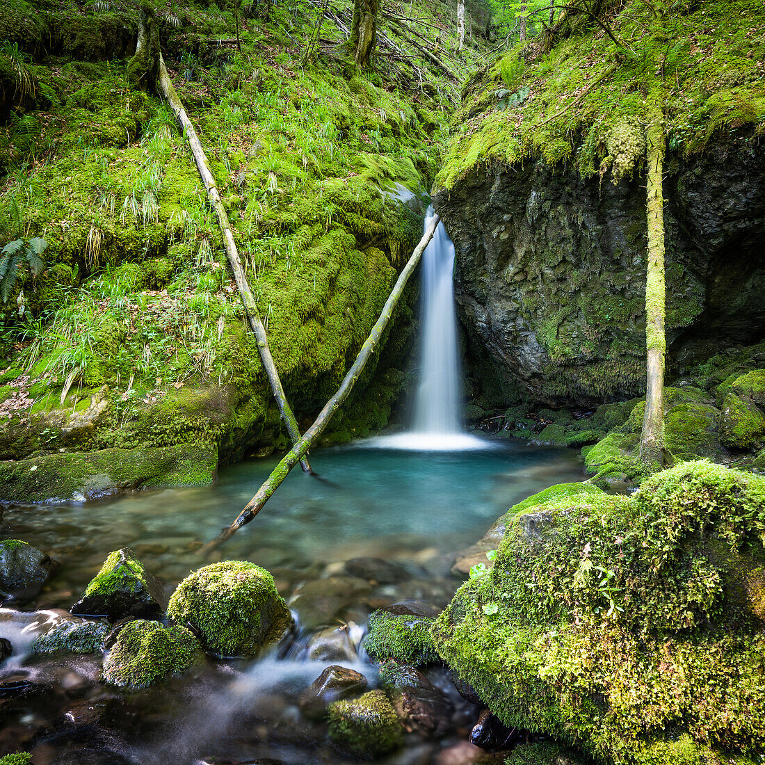 Mystical Pool; Switzerland, Canton Schwyz, Wägital