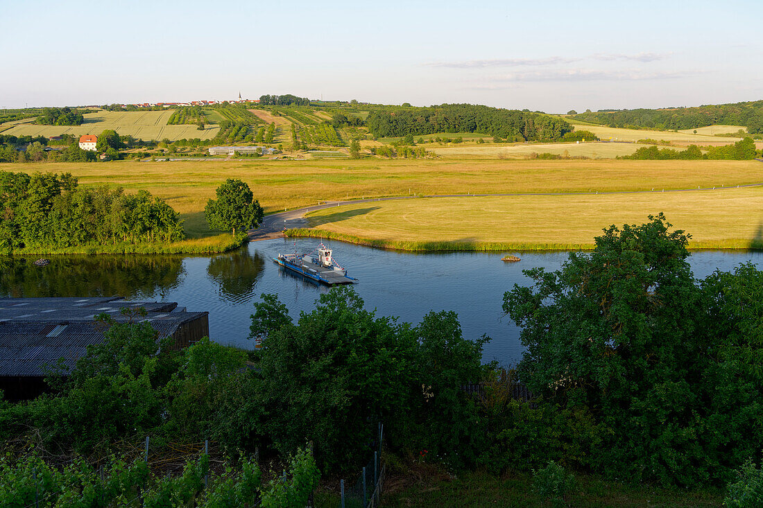 Weinort Wipfeld am Main, Landkreis Schweinfurt, Unterfranken, Franken, Bayern, Deutschland