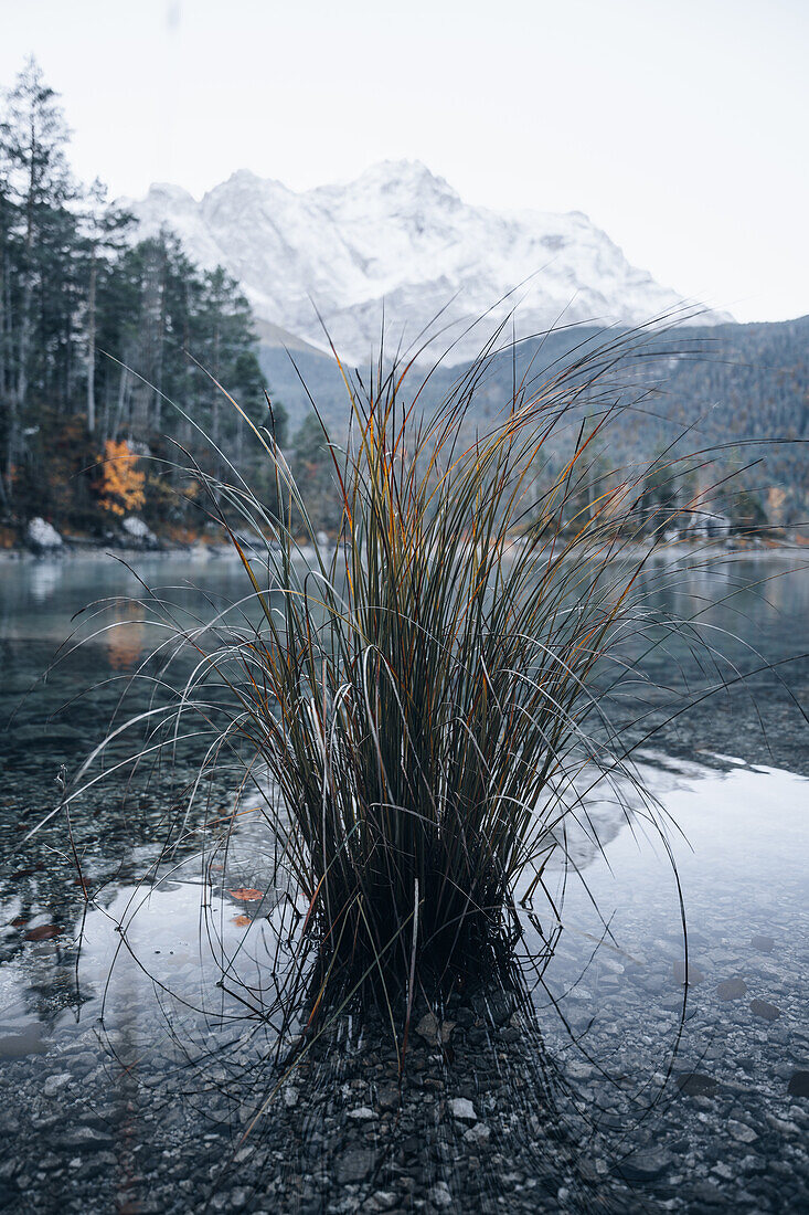 Stimmungsbilder vom Eibsee im Herbst, Bayern, Deutschland