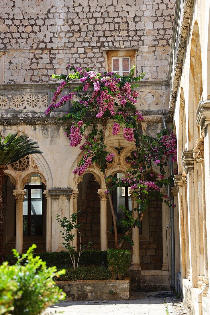 Benediktinerkloster St. Maria, Insel Lokrum, Dalmatien, Kroatien