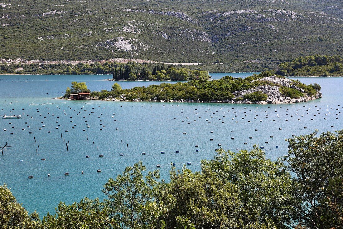 Muschelzucht in Ston, Dalmatien, Kroatien