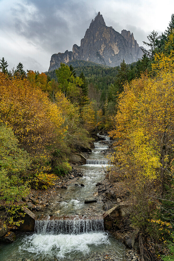 Herbst am Schwarzgriesbach und dem Berg Schlern in Seis am Schlern, Südtirol, Italien, Europa