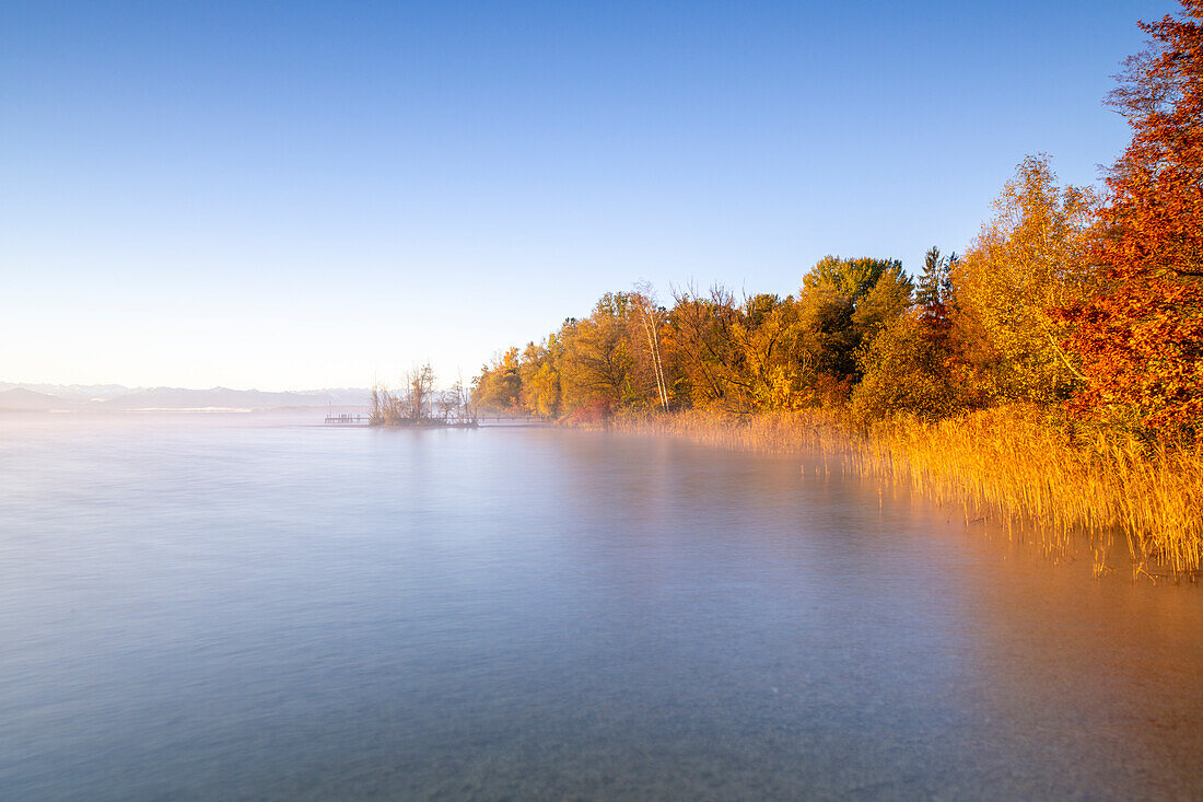 Herbstmorgen am Starnberger See, Bayern, Deutschland