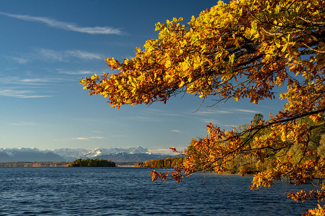 Autumn morning at Lake Starnberg