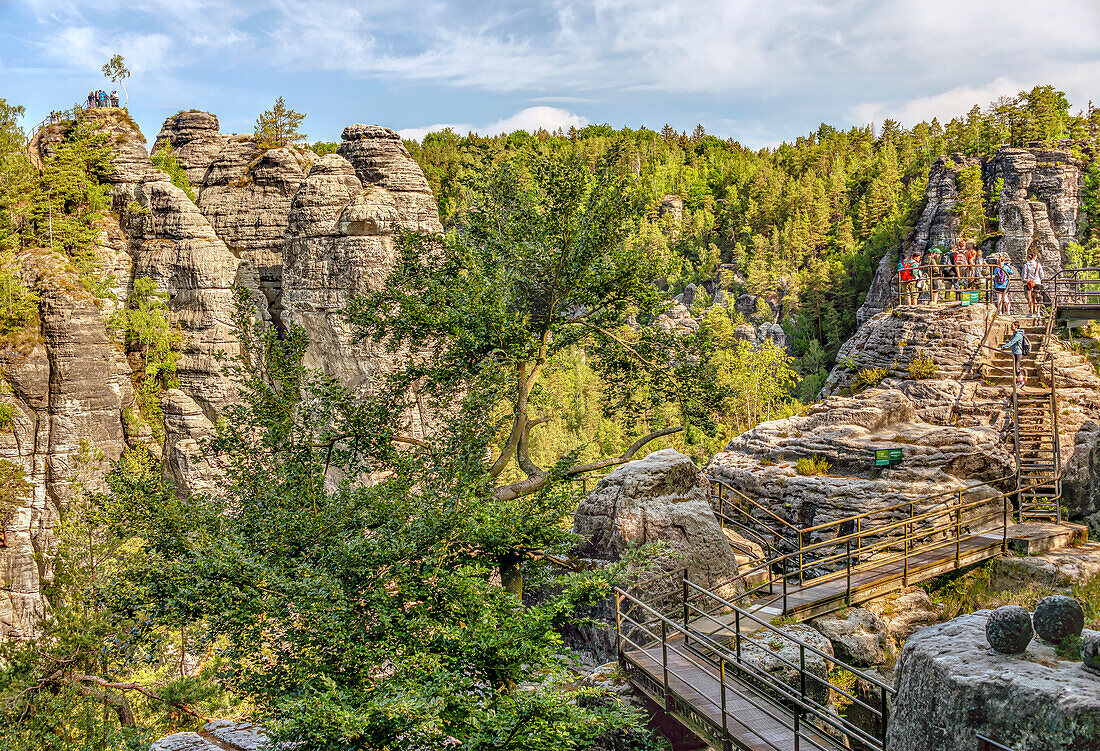 Blick über die Felsenburg Neurathen von der Basteibrücke in der Sächsischen Schweiz, Sachsen, Deutschland