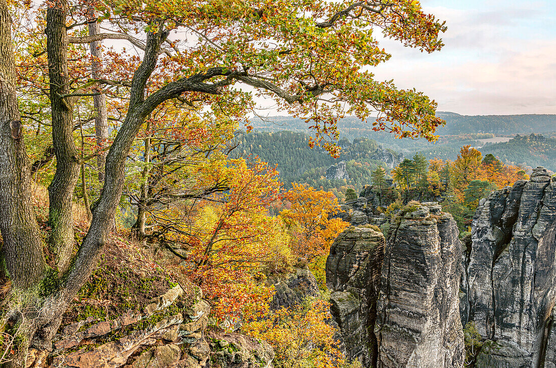 View from Bastei viewpoint in autumn, Saxon Switzerland, Saxony, Germany