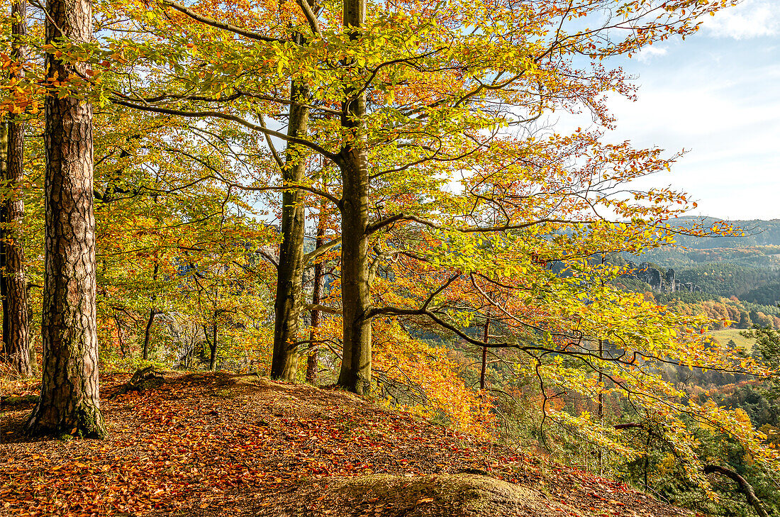 View from Bastei viewpoint in autumn, Saxon Switzerland, Saxony, Germany