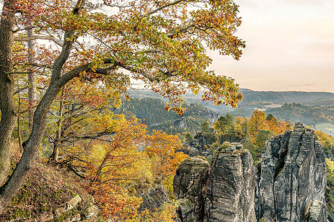 View from Bastei viewpoint in autumn, Saxon Switzerland, Saxony, Germany