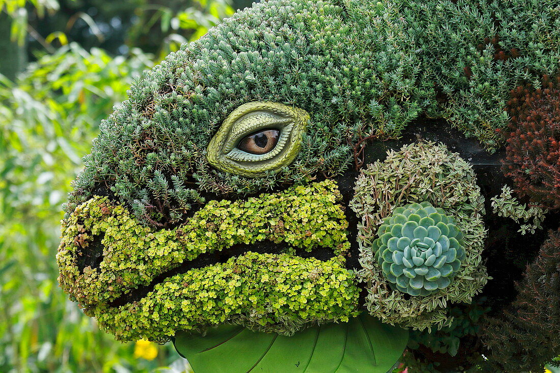 Gartenschau Mosaiculture, Quebec City, Kanada