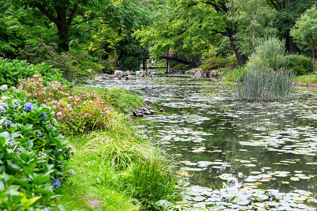 Japanischer Garten (Ogród Japoński, Ogrod Japonski) im Scheitniger Park (Park Szczytnicki) in Wrocław (Wroclaw, Breslau) in der Woiwodschaft Dolnośląskie in Polen