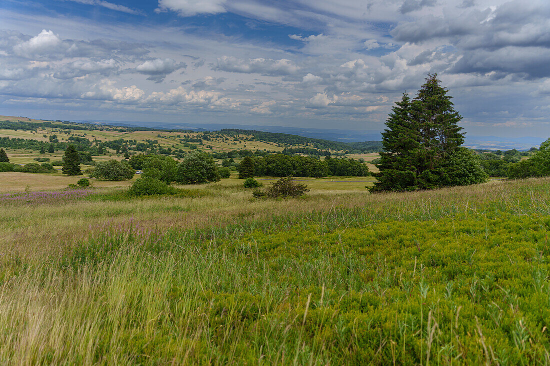 Rhönlandschaft am Heidelstein in der Langen Rhön, Biosphärenreservat Rhön, Bayern, Hessen, Deutschland 