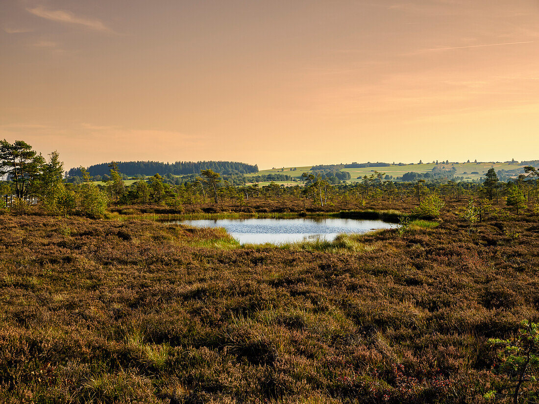 The “Schwarzes Moor” nature reserve in the evening light, Rhön Biosphere Reserve, Lower Franconia, Franconia, Bavaria, Germany