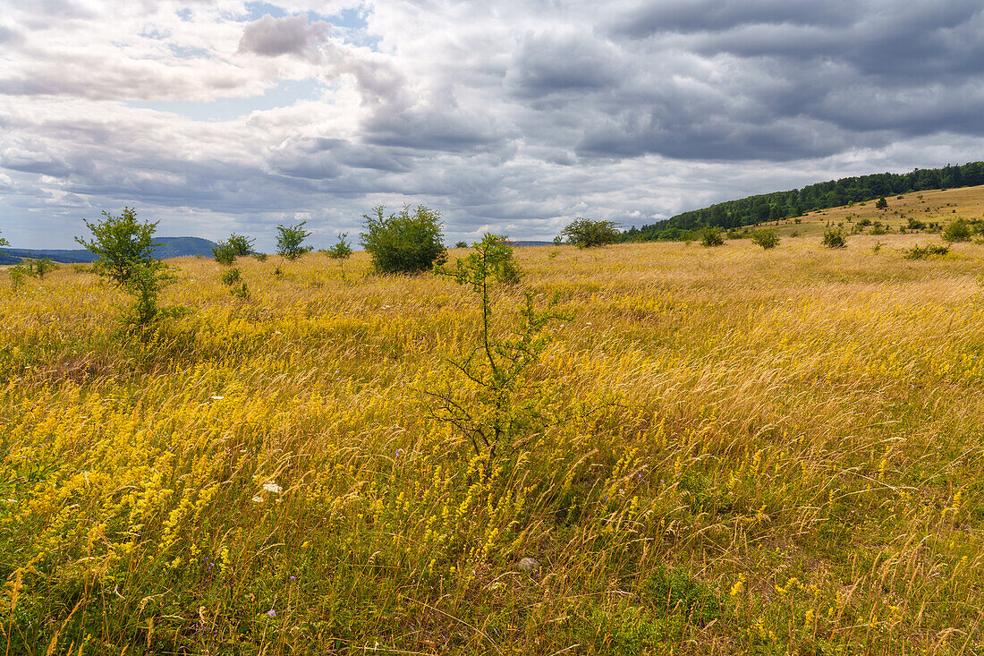 The Arnsberg in the Rhön Biosphere Reserve, Lower Franconia, Franconia, Bavaria, Germany