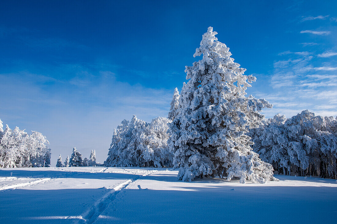 Winter landscape in the Jura; Canton of Solothurn, Switzerland