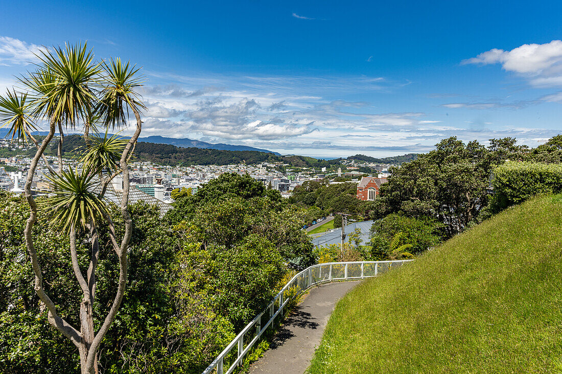 Blick auf den Wellington New Zealand Botanical Gardens, Wellington, Neuseeland