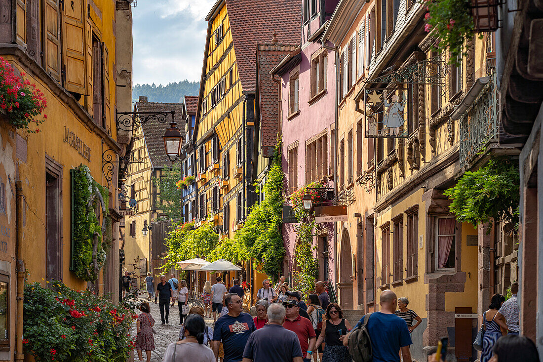 The historic old town of Riquewihr, Alsace, France