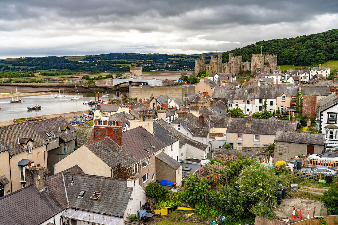 Conwy Castle und die Dächer der Altstadt in Conwy, Wales, Großbritannien, Europa
