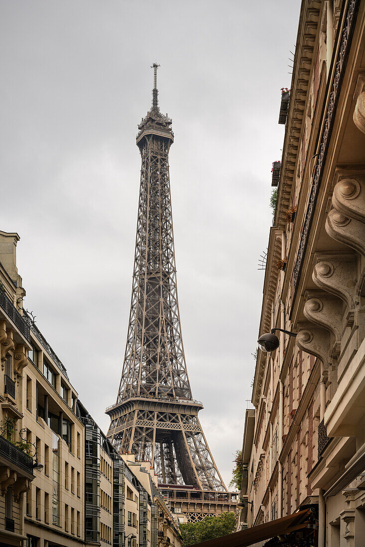 der Eiffelturm (Tour Eiffel) in Paris, Île-de-France, Frankreich, Europa