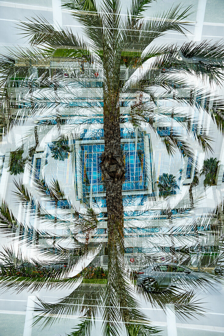 Graphic double exposure of palmtrees and residential buildings in Nice, France.