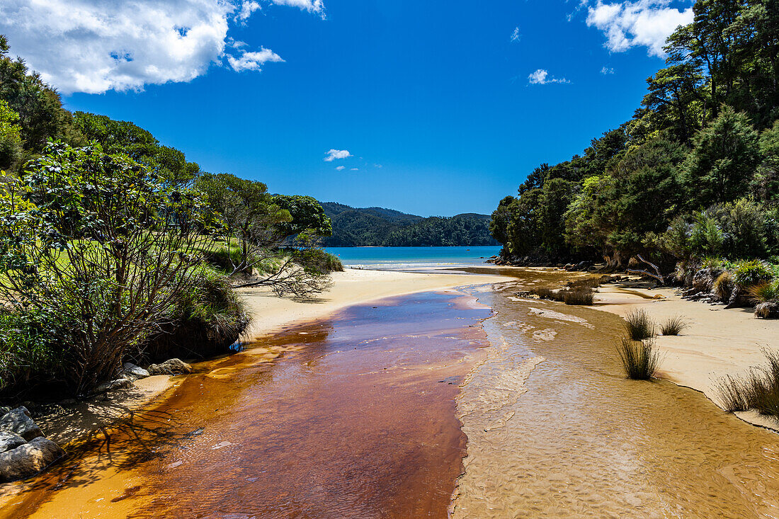 Blick auf den Abel-Tasman-Nationalpark von Wanderwegen im Park in der Nähe des Nelson Tasman Nationalpark auf der Südinsel Neuseeland