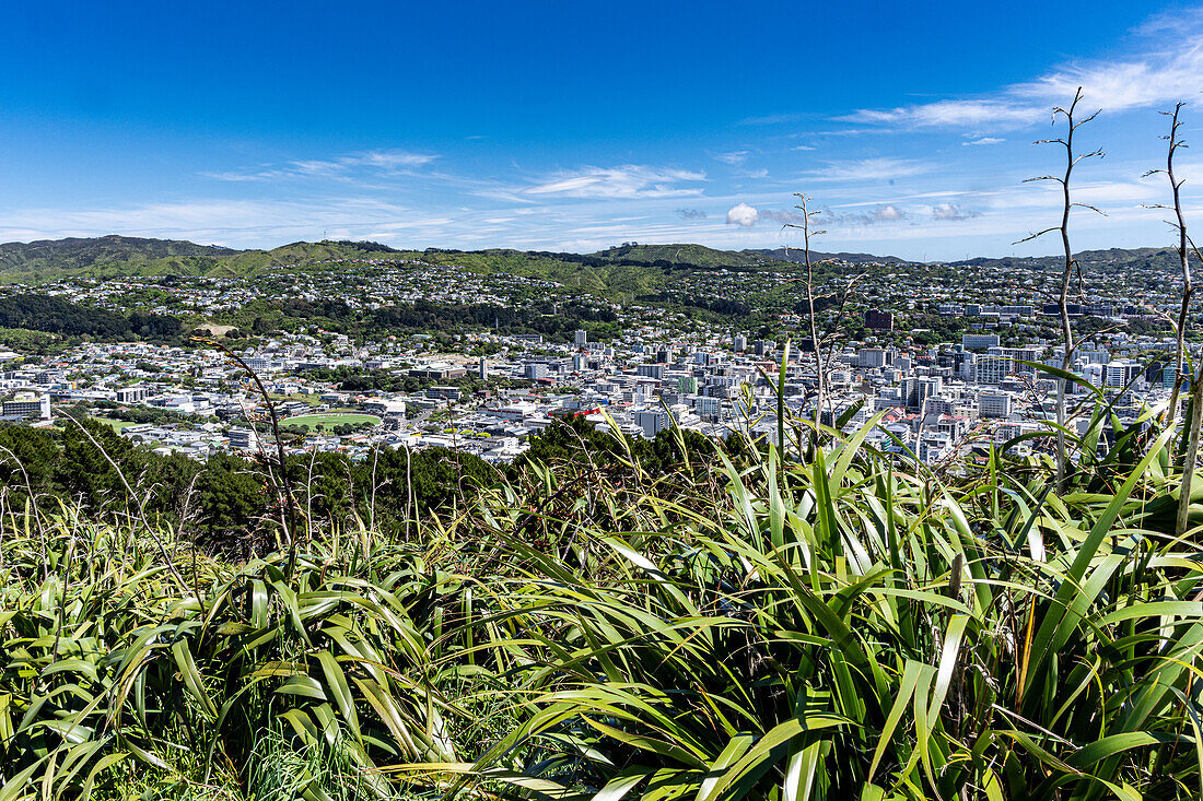 Aussicht vom Gipfel des Mount Victoria außerhalb von Wellington, Neuseeland