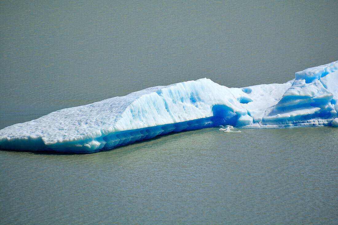 Chile; Southern Chile; Magallanes region; Mountains of the southern Cordillera Patagonica; Torres del Paine National Park; Lake Grey; floating iceberg